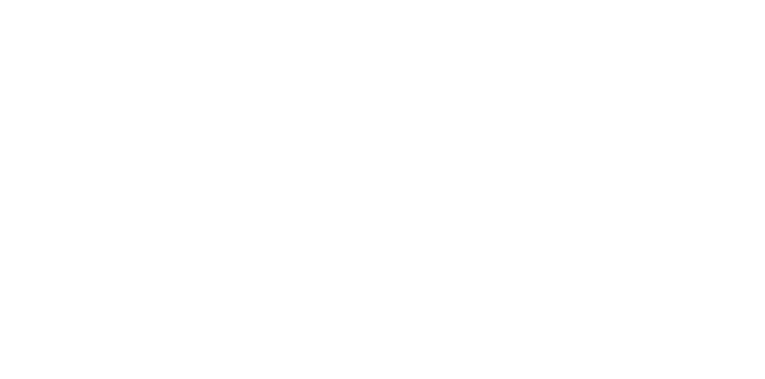 logo IPSO